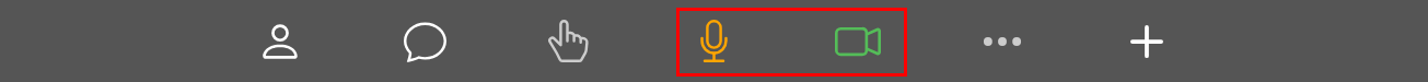 Microphone and Camera Buttons