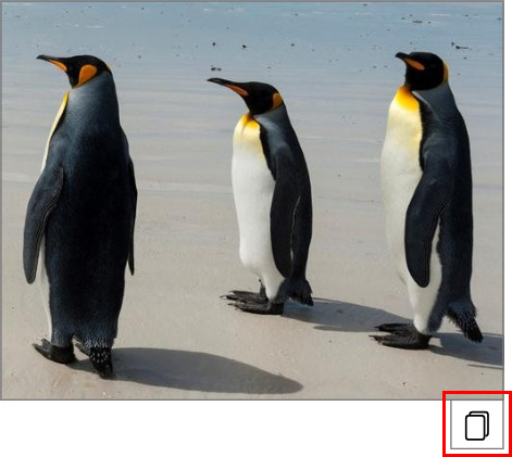 Select Image