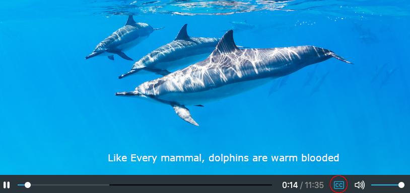 Player Closed Captions