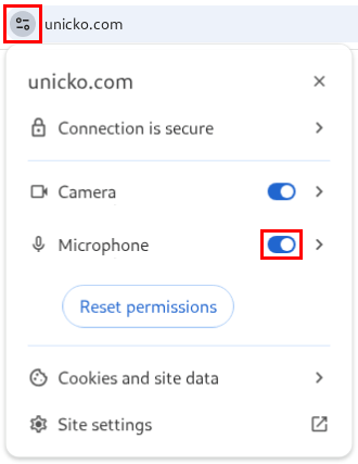 Allow Microphone Permission